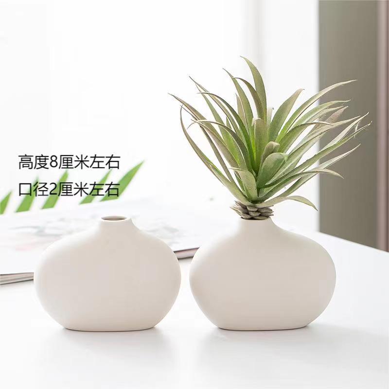 花瓶陶瓷花瓶花瓶摆件豆豆瓶客厅素陶瓷瓶可储水小花瓶微景观小瓶