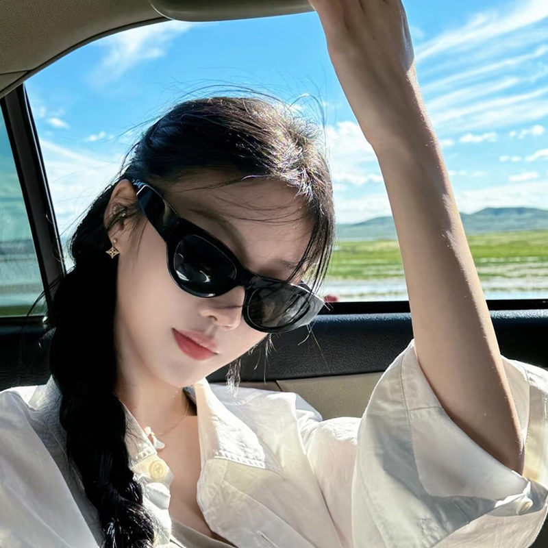 女士高级感太阳镜韩版复古