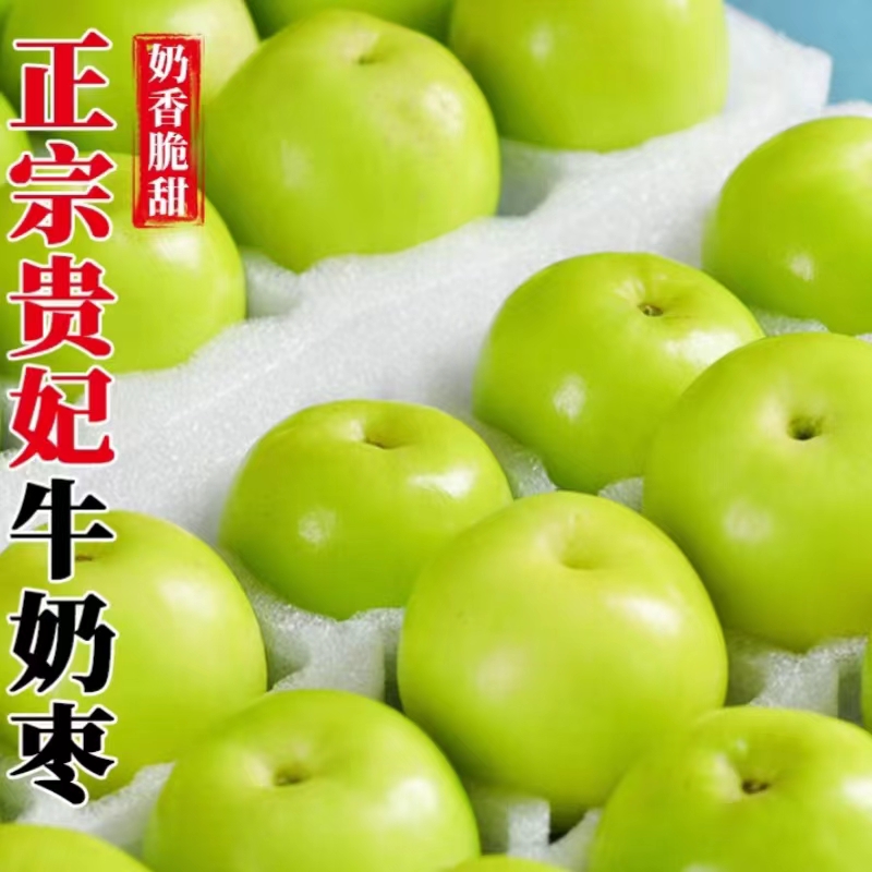 福建漳州贵妃牛奶枣蜜枣应季新鲜水果批发整箱产地直发鲜脆清甜