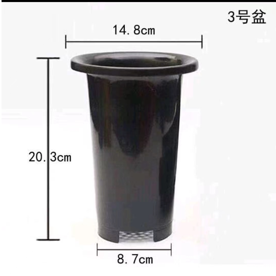 兰花种植塑料专用盆