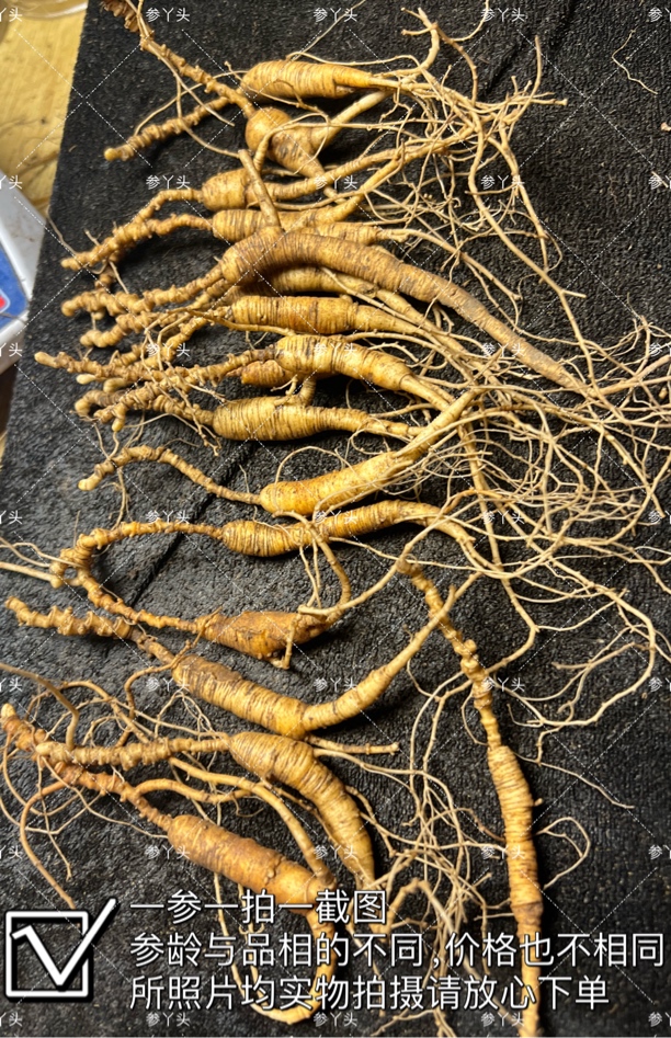 吉林长白山新鲜山参现场选货 一单一拍一截图改价链接