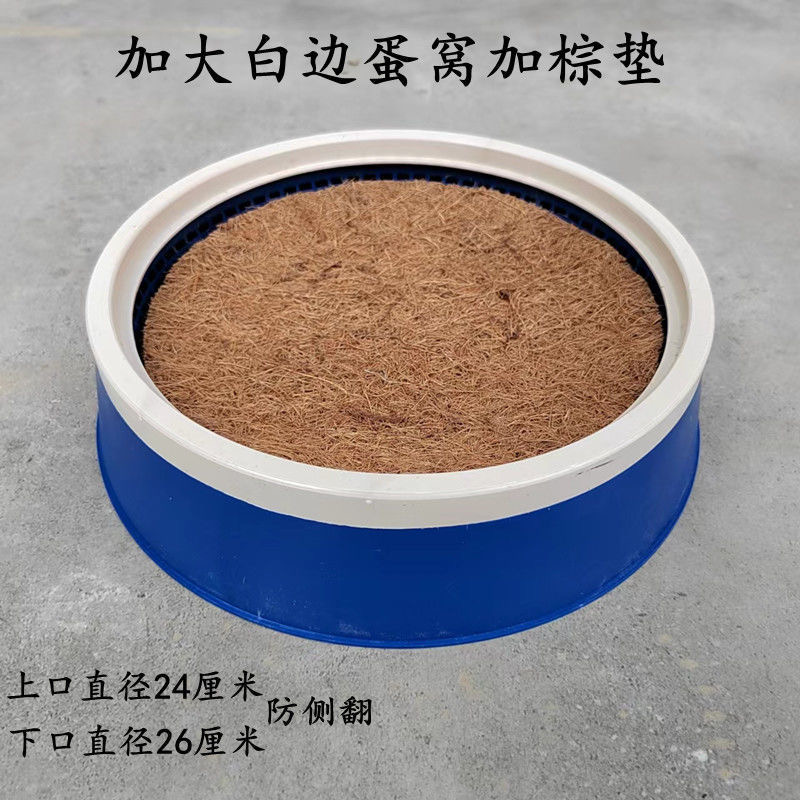 鸽子专用窝送棕垫拍一发十