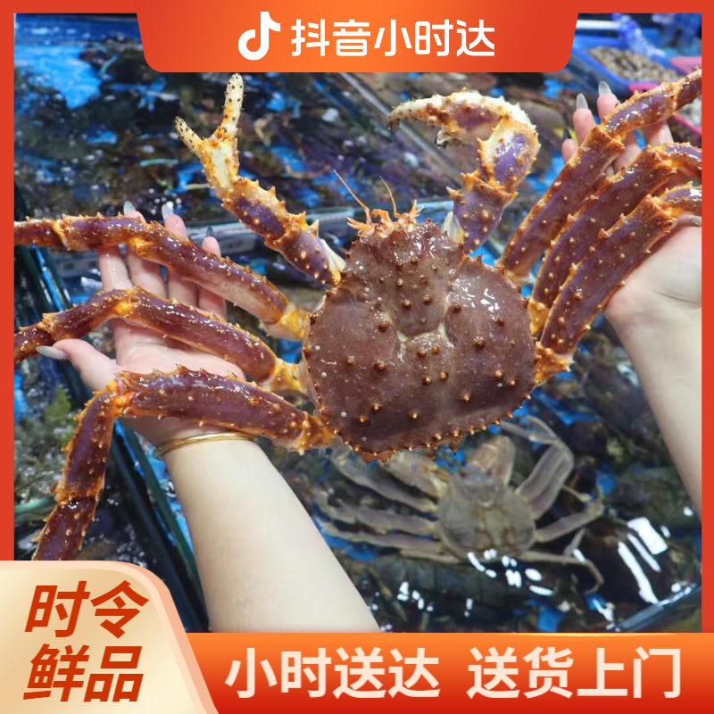 冰鲜帝王蟹（当天断氧货）