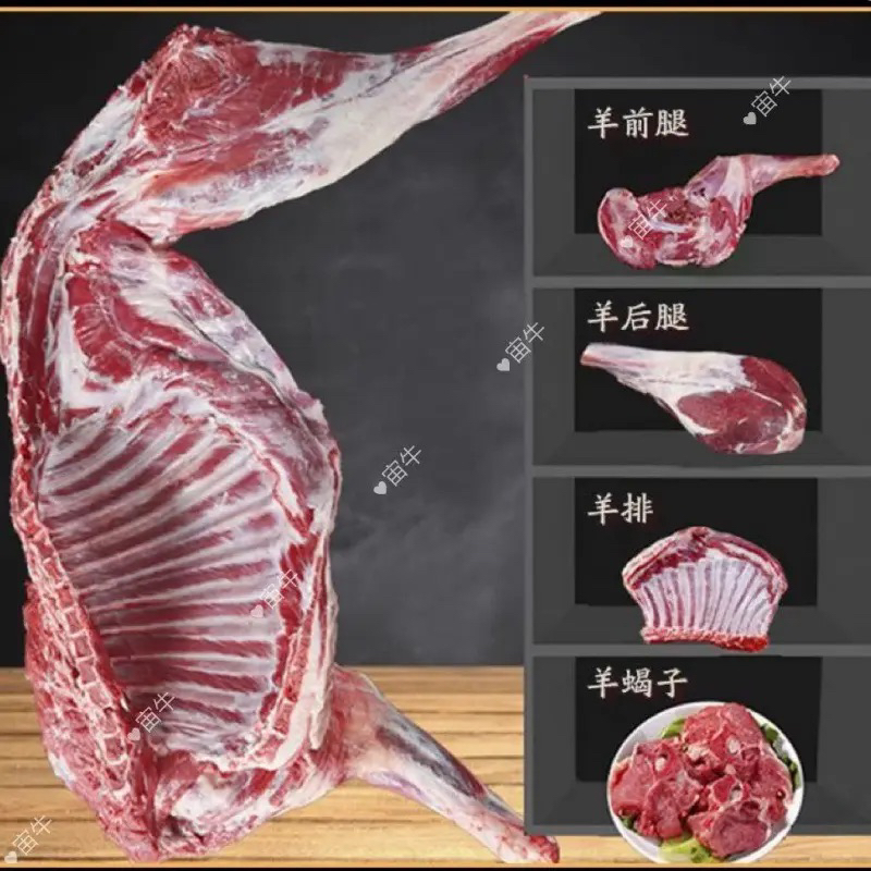 甘肃靖远原生态小山羊12-18斤小半羊整扇25%腿排