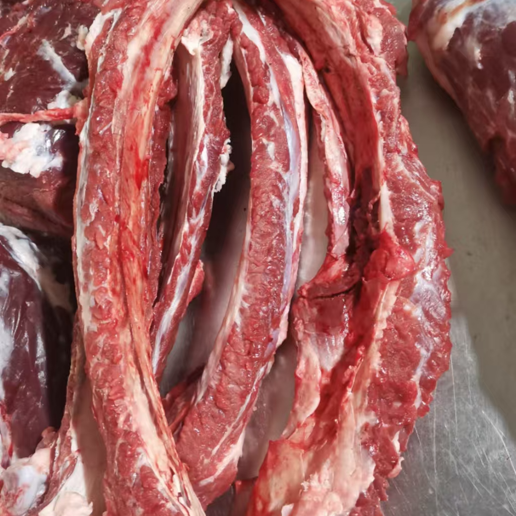 （湘哥牛排骨）新鲜黄牛肉优质美味健康牛肉