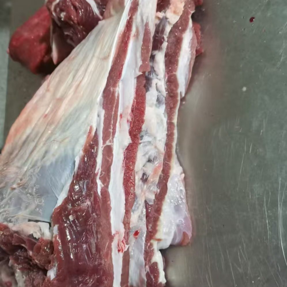 （湘哥家牛腩）新鲜黄牛肉优质美味健康牛肉