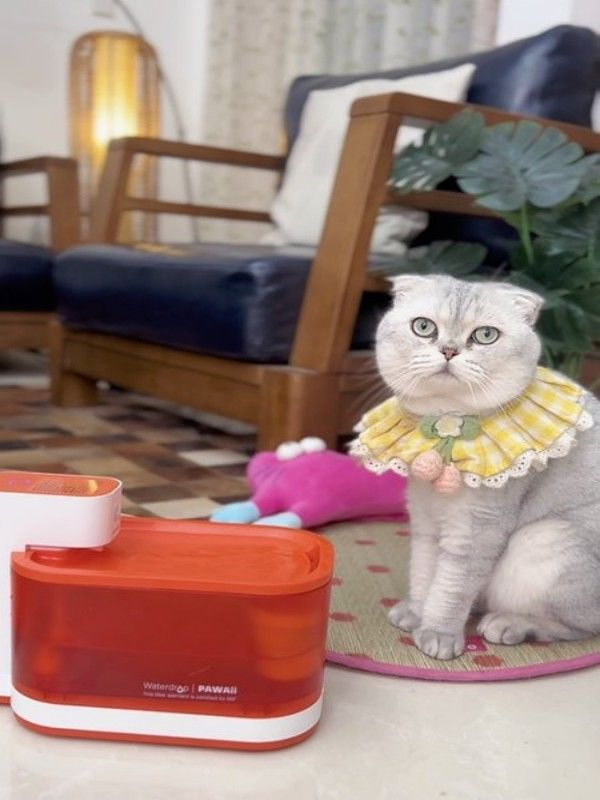 猫咪饮水机净水机宠物智能自动循环不插电无线感应喝水热门耐用热