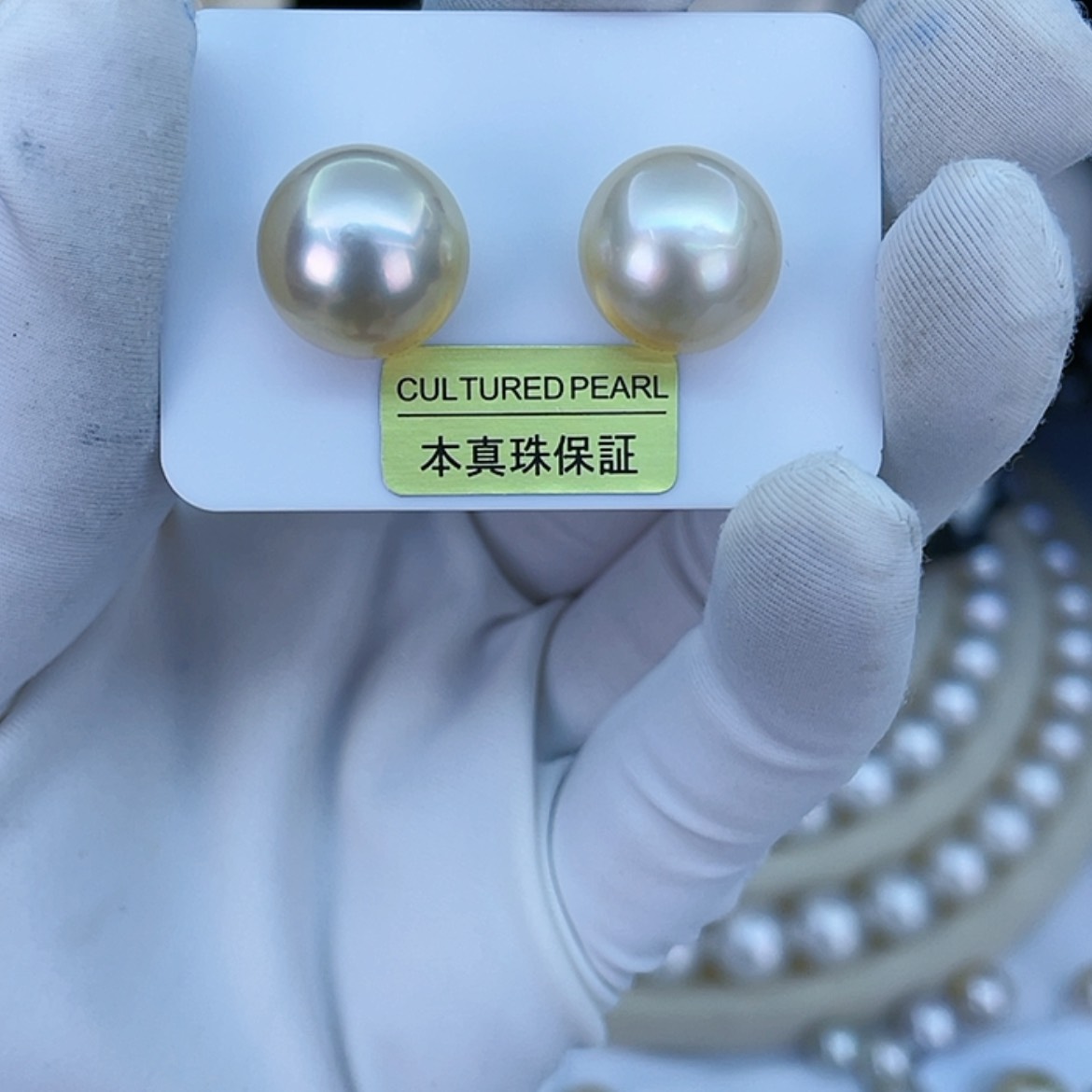 【闪购商品】海水珍珠耳饰未镶嵌沐*