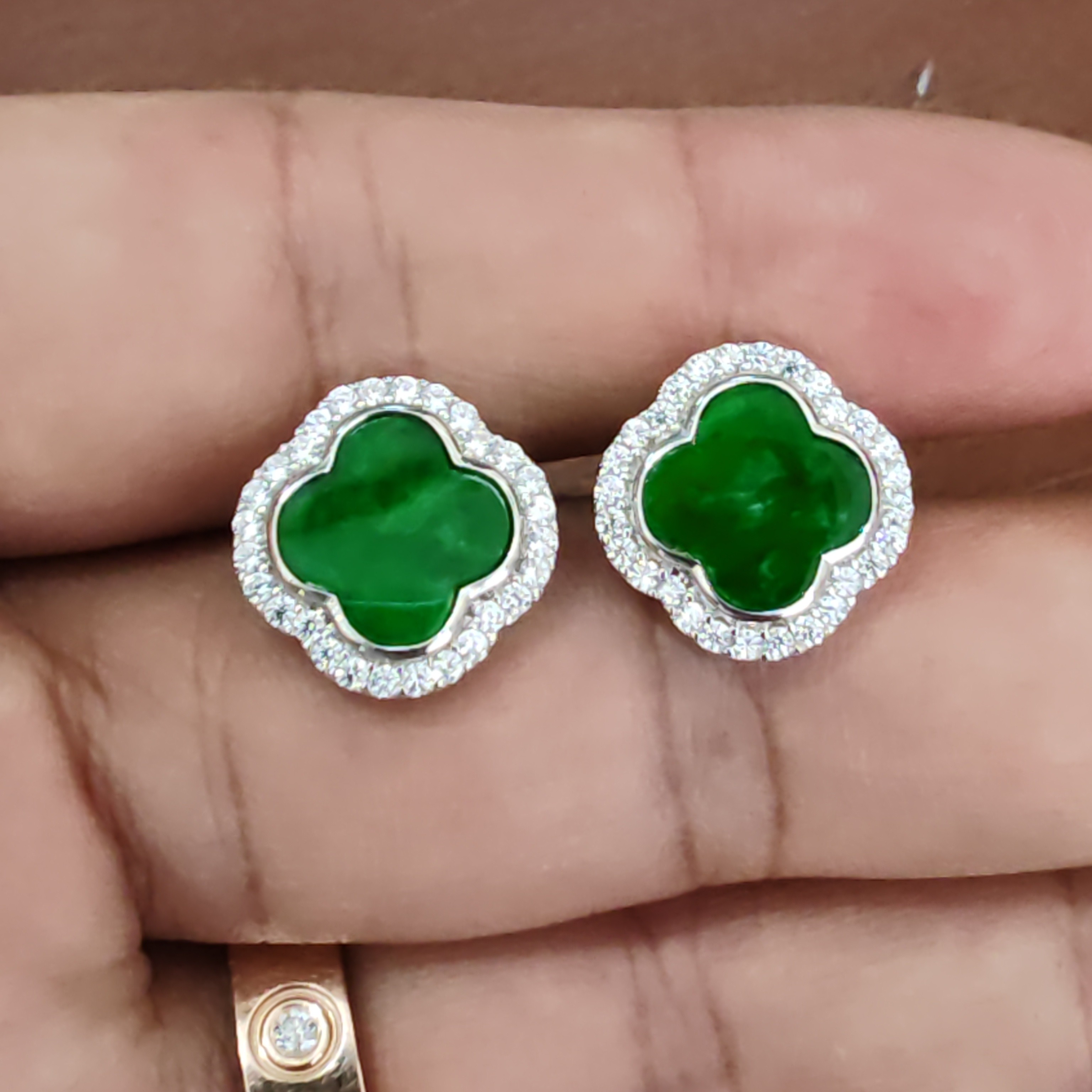 天然缅甸a货翡翠四叶草耳钉女士满绿b0多样性发货