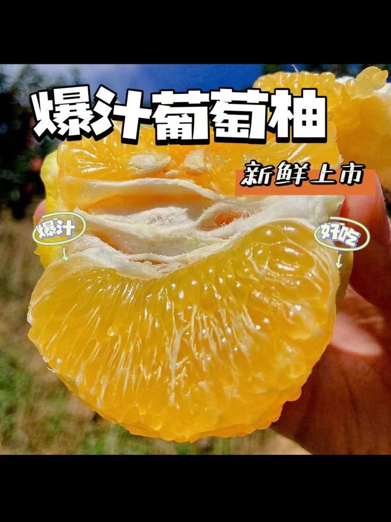 福建正宗柚子黄金葡萄柚新鲜应季水果柚子香甜多汁果园现摘现发