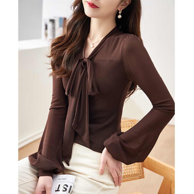 欧洲站衬衫女2025春装新款网纱打底衫法式复古设计感时尚别致上衣