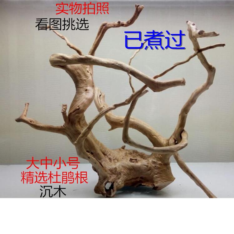 已煮 杜鹃根沉木 莫斯树爬宠箱摆件 草缸造景 鱼缸装饰