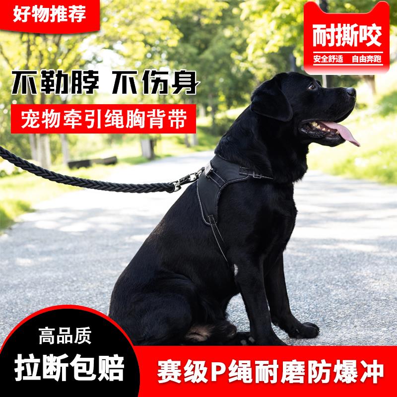 狗狗牵引绳胸背带金毛拉布拉多中大型犬狗链子加粗八股狗绳防爆冲