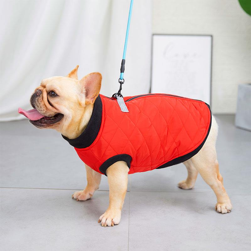 斗牛犬衣服法斗狗狗秋加厚马甲胖狗宠物棉衣巴哥柯基保暖棉背心