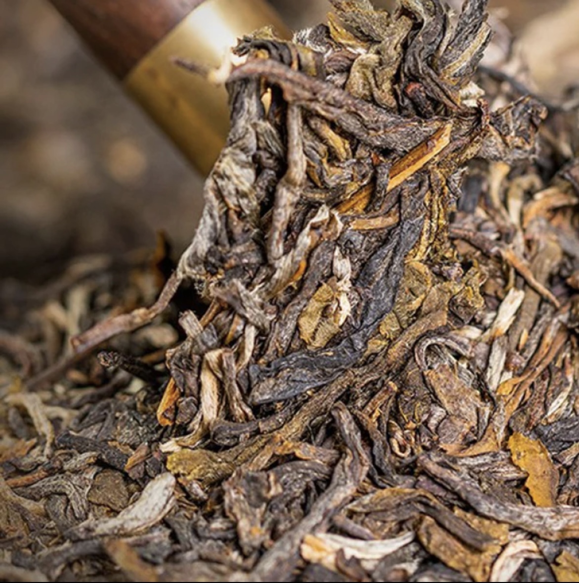 2023年  秘境普洱生茶357g