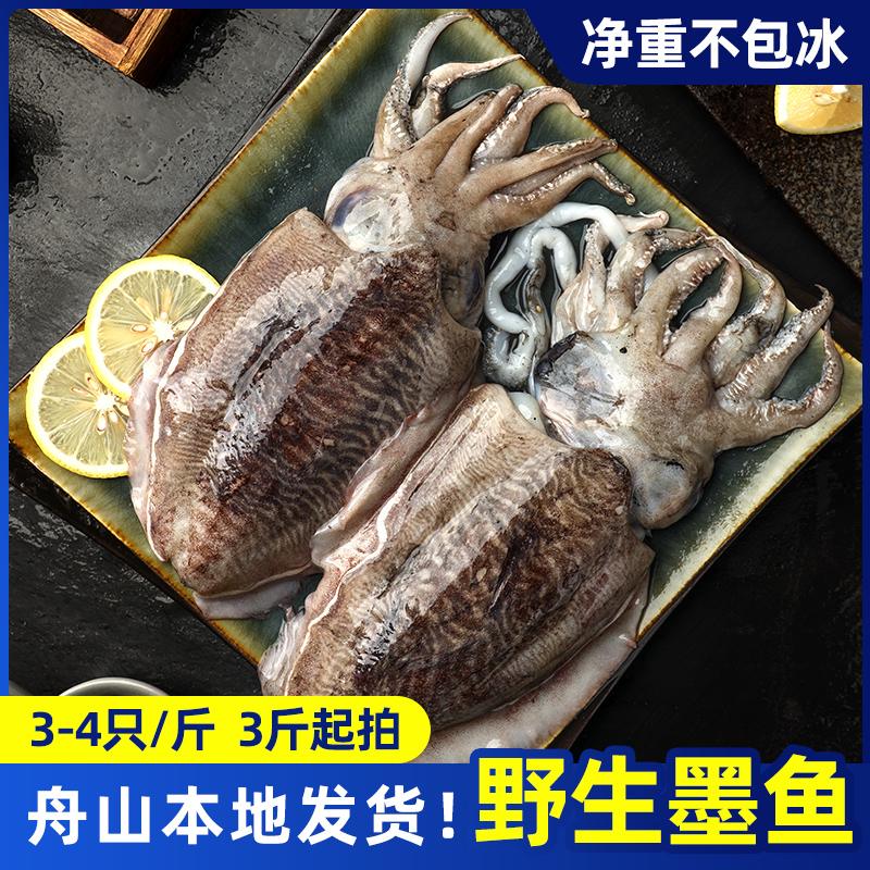 舟山东海野生鱼须鲜嫩冰鲜墨鱼3-4只/斤3斤起拍舟山本地发货冰鲜