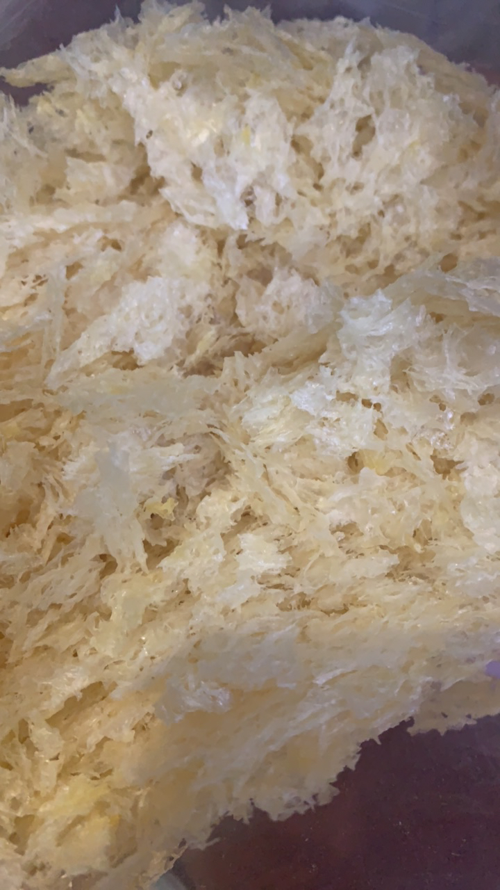 小焮收山货 草本银耳