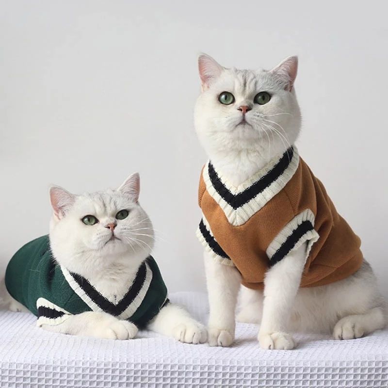 新疆包邮猫咪衣服英美短春夏秋冬季宠物狗狗幼猫小猫蓝猫布偶猫衣