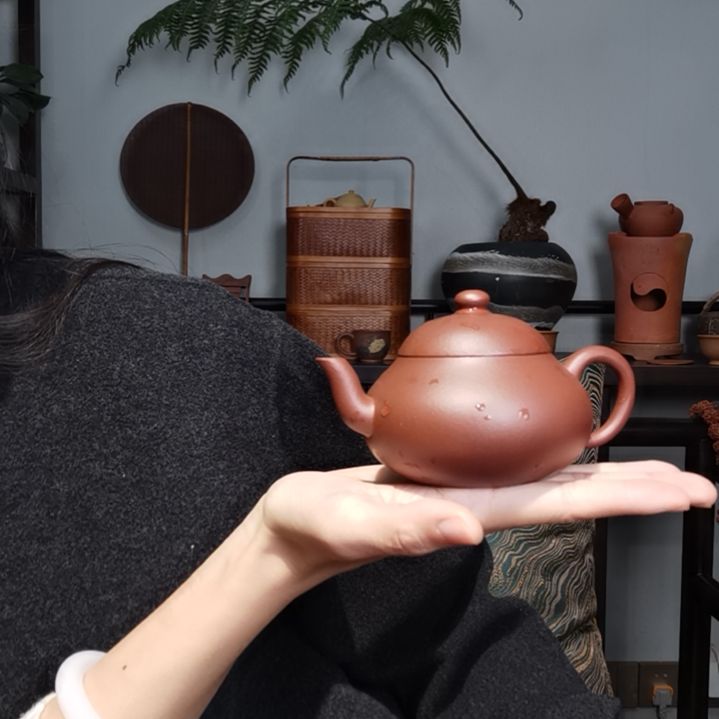 【闪购商品】紫砂茶壶机*师