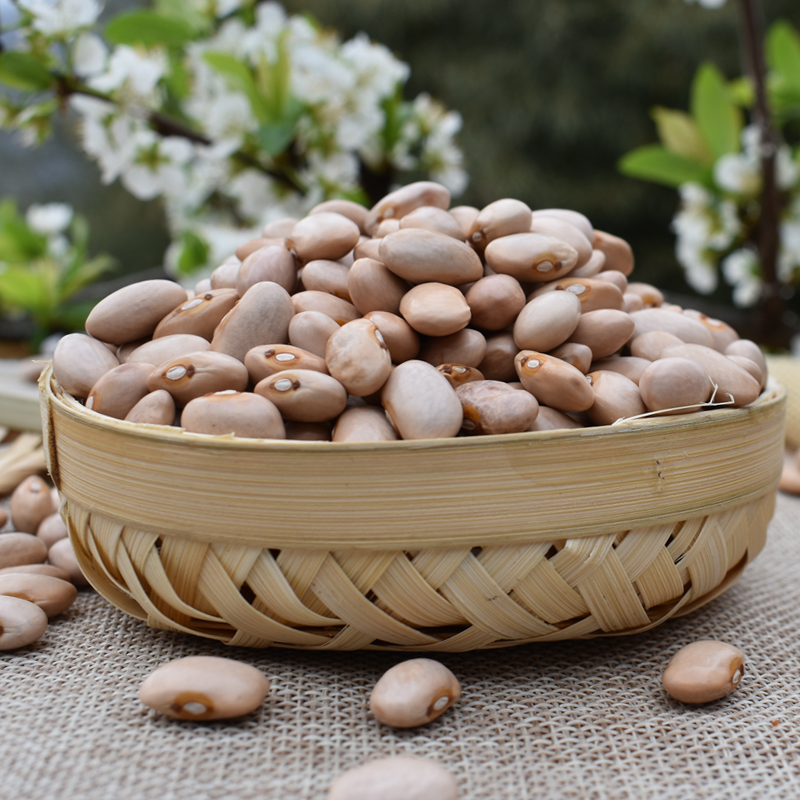 贵州米汤豆酸菜豆米四季干豆米织金乡下种植米汤豆五谷杂粮