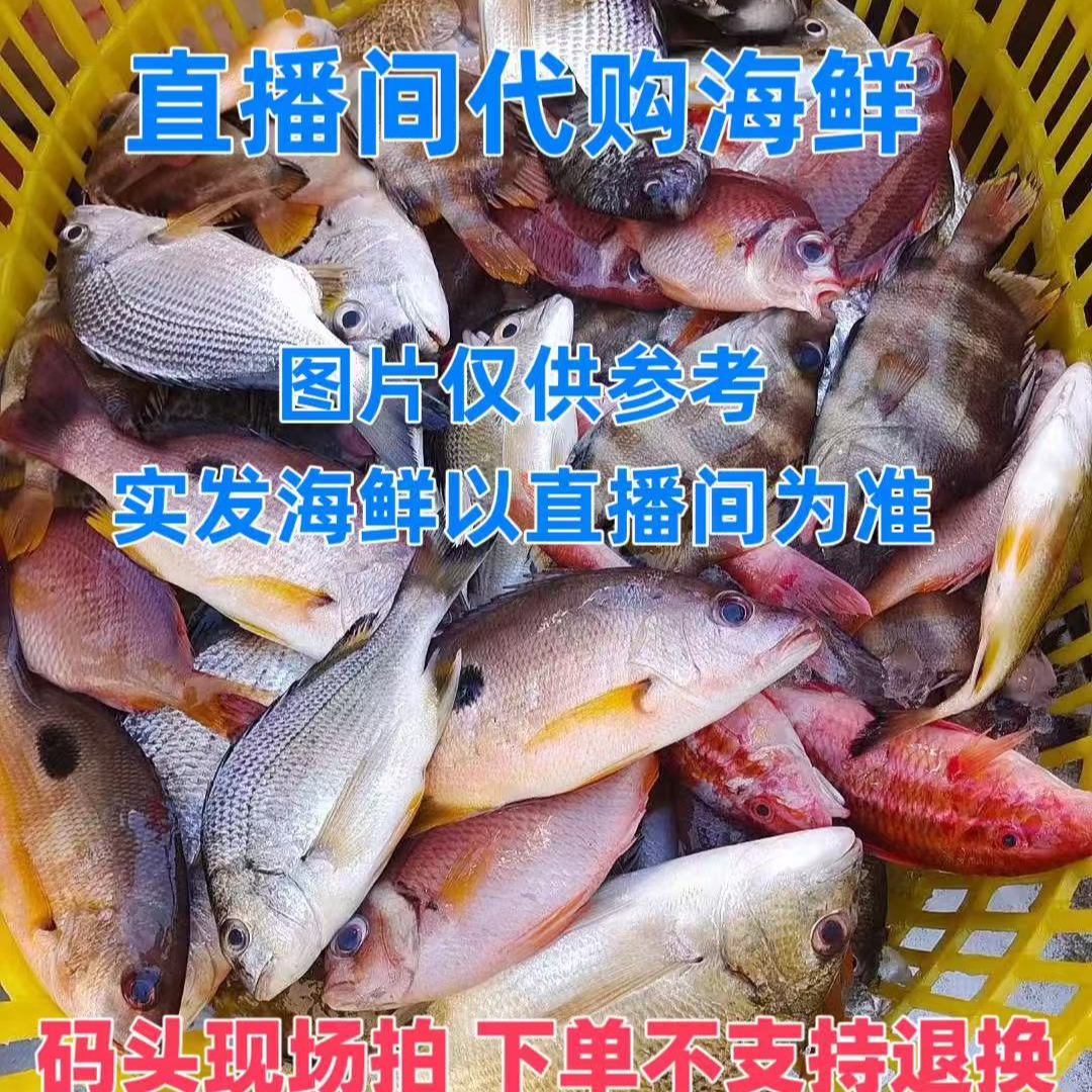 北海码头海鲜（现拍现称速冻锁鲜发货）