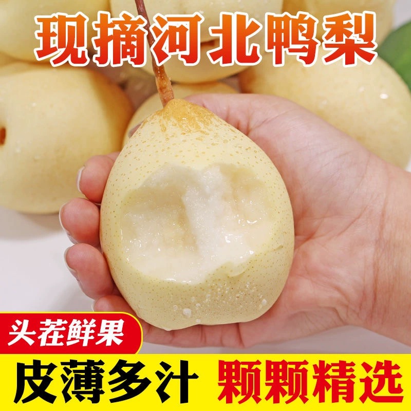 河北正宗鸭梨大果一整箱包邮水晶梨新鲜孕妇水果梨子脆甜多汁薄皮