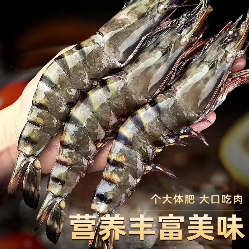 2030特大号黑虎虾10-15/斤 海鲜水产新鲜速冻锁鲜3斤/盒