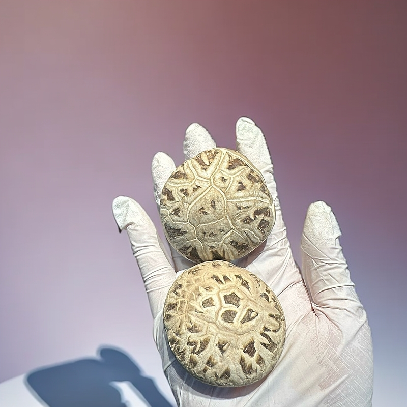 精选厚肉花菇香滑