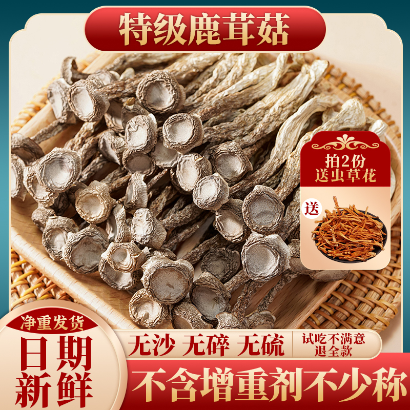 鹿茸菇干货精品50g~500g古田特产鹿茸菌无硫新鲜煲汤脆脆菇干香菇