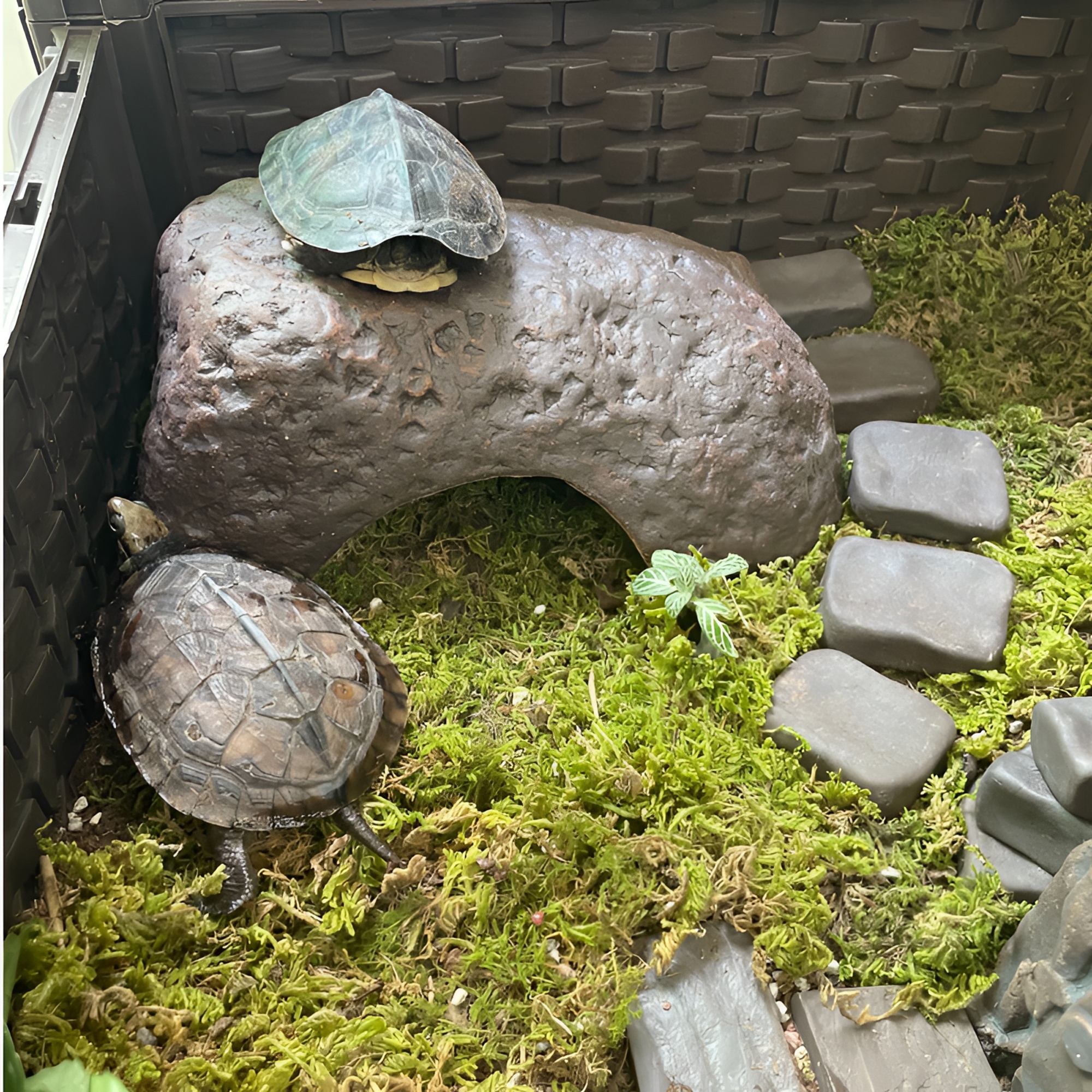 陶瓷手工仿真石头乌龟黄缘龟晒台爬台爬坡晒背台鱼缸造景躲避洞