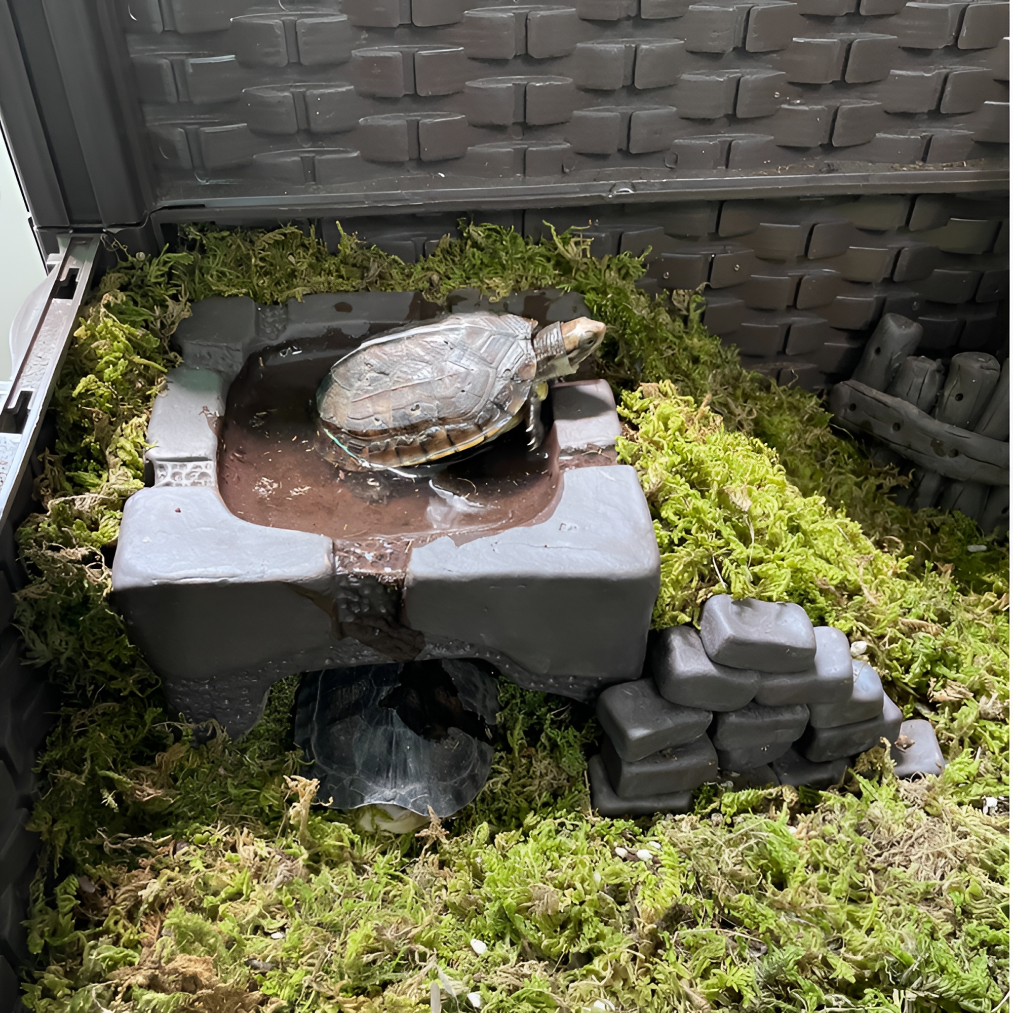 手工陶瓷乌龟黄缘龟躲避洞躲避屋鱼缸造景陶罐摆件虾屋虾窝异型鱼