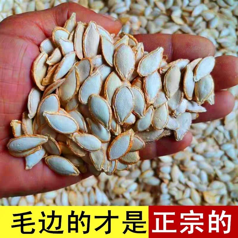2025新晒干南瓜子原味带壳毛边生南瓜籽白瓜子生香瓜子农家货包邮