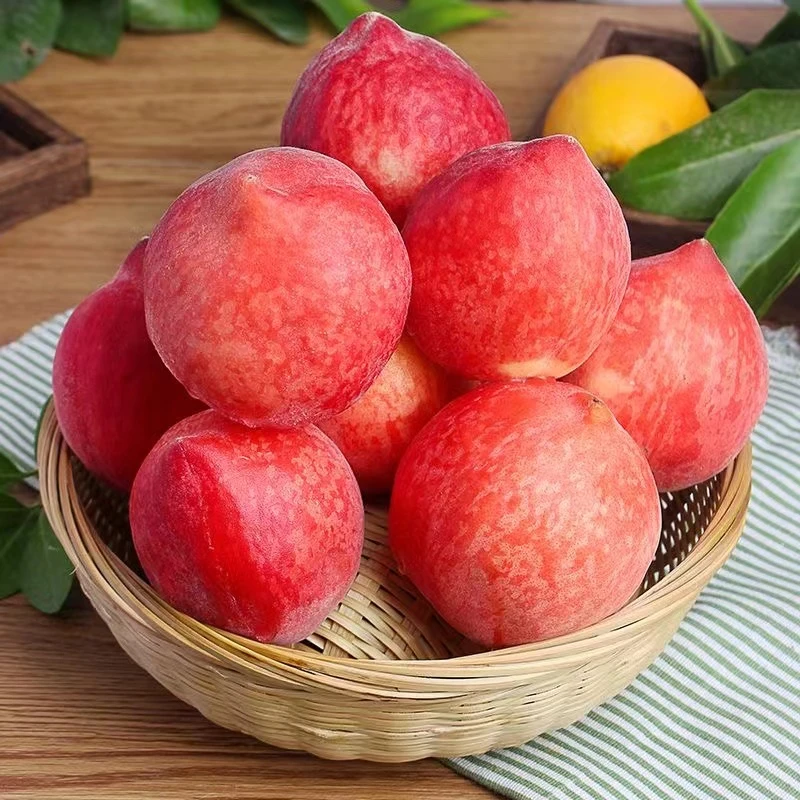 脆甜水蜜桃正宗硬桃子应季新鲜水果