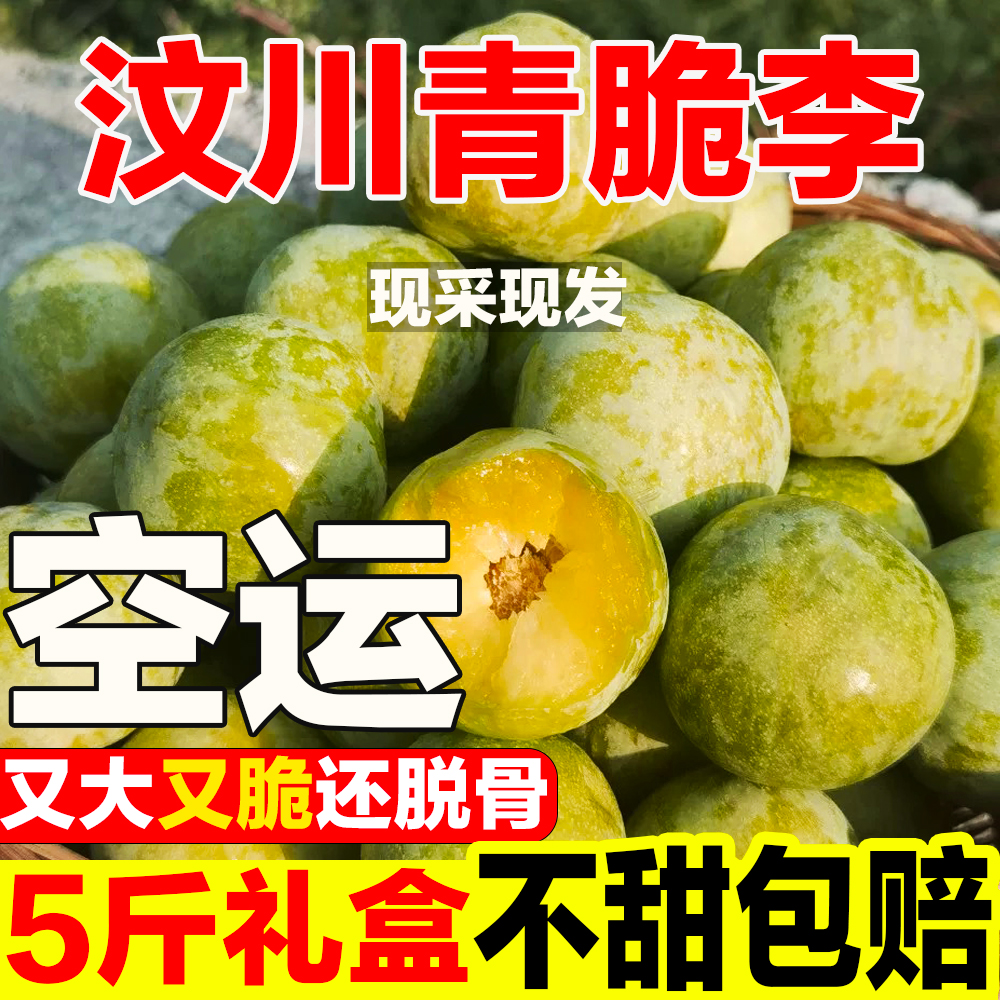 【航空运输】四川青脆李汶川青脆李子脱骨脆李新鲜水果脱骨李子