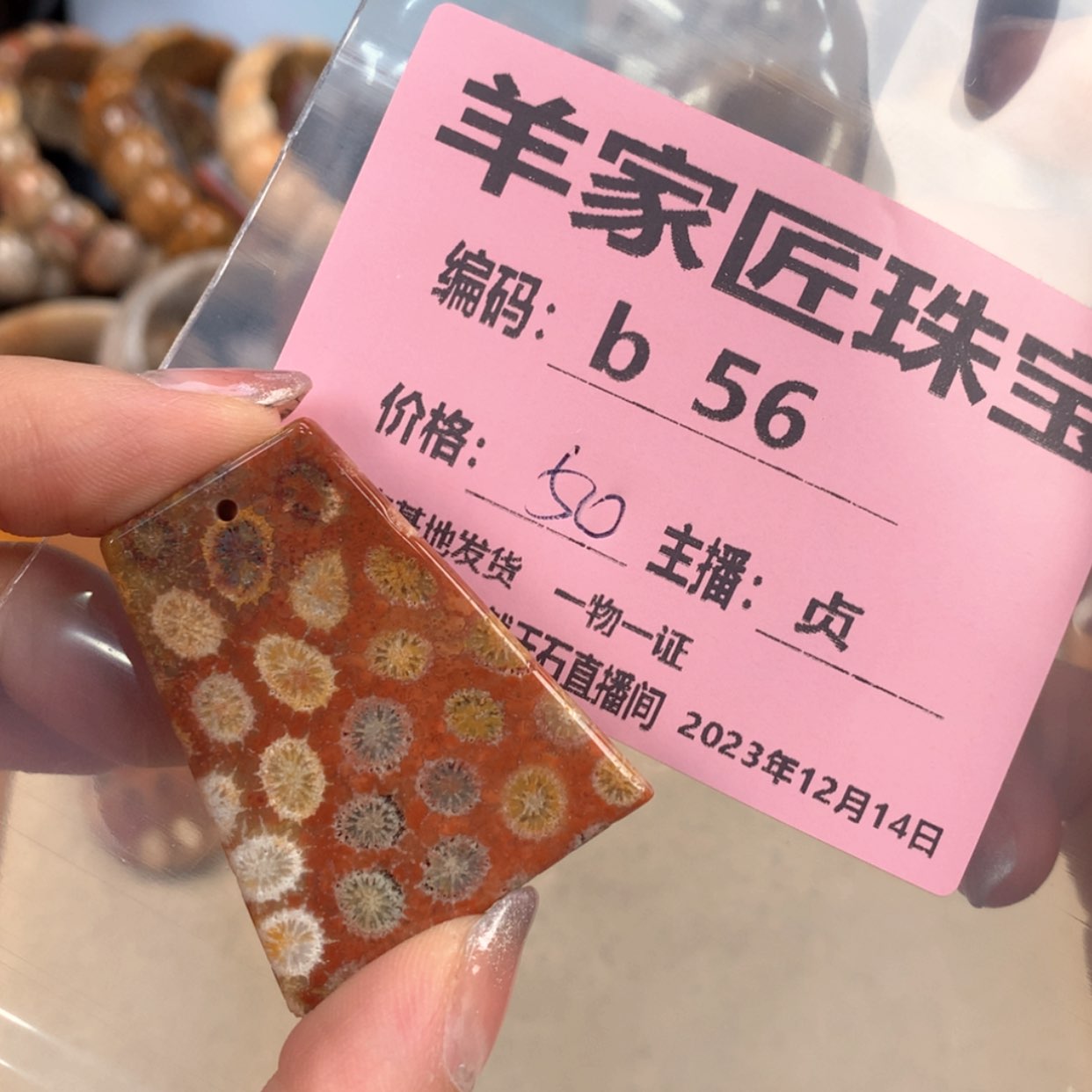 【闪购商品】硅化珊瑚（珊瑚玉）颈饰未镶嵌S***iB56