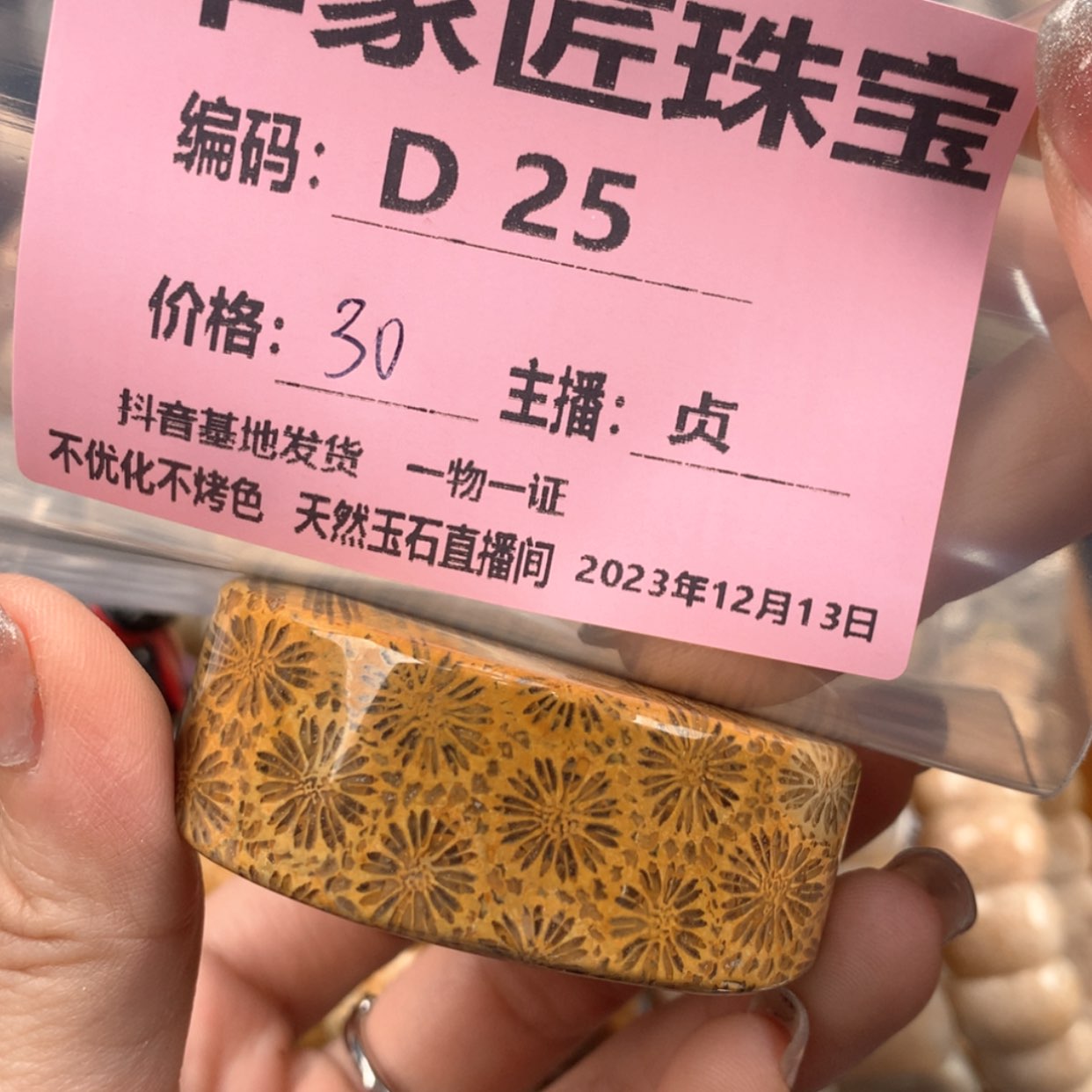 【闪购商品】硅化珊瑚（珊瑚玉）颈饰未镶嵌骑****白D25