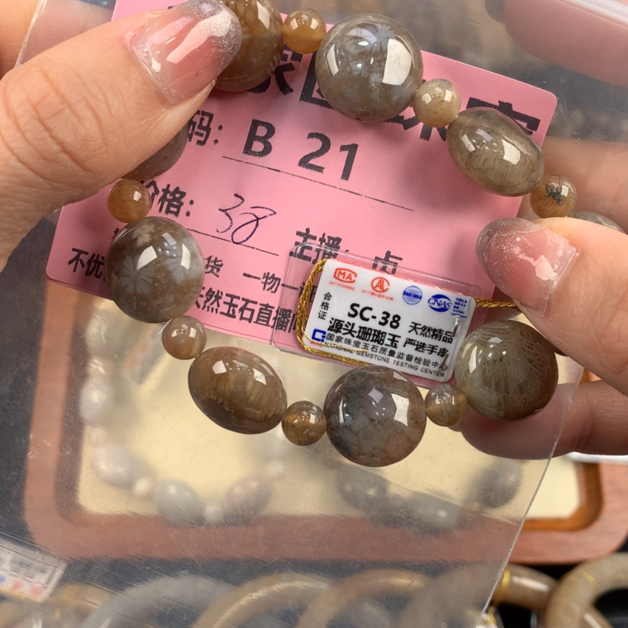 【闪购商品】硅化珊瑚（珊瑚玉）手镯未镶嵌骑****白b 21