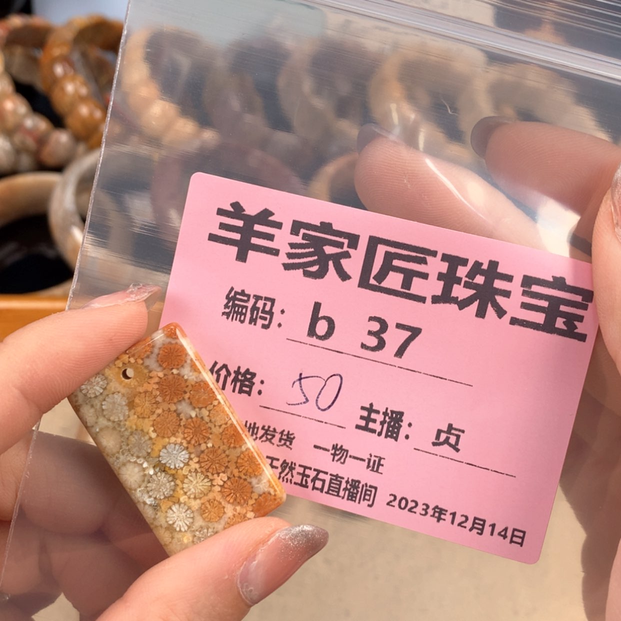 【闪购商品】硅化珊瑚（珊瑚玉）颈饰未镶嵌S***iB37