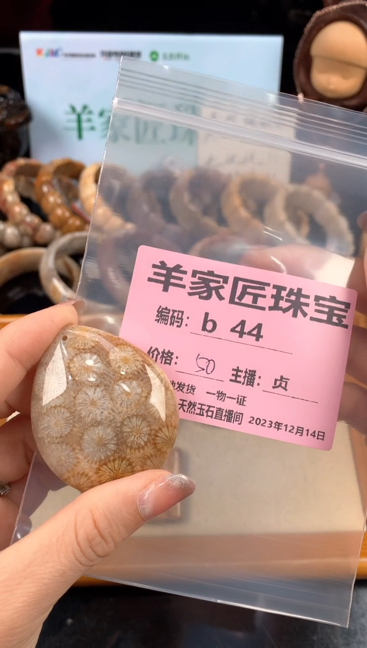【闪购商品】硅化珊瑚（珊瑚玉）颈饰未镶嵌b44