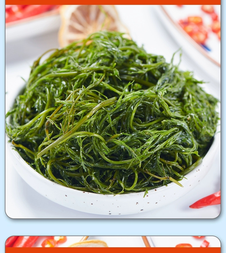 新鲜盐渍马尾藻 鞭炮笋荣成特产 凉拌火锅包包子 5斤包邮