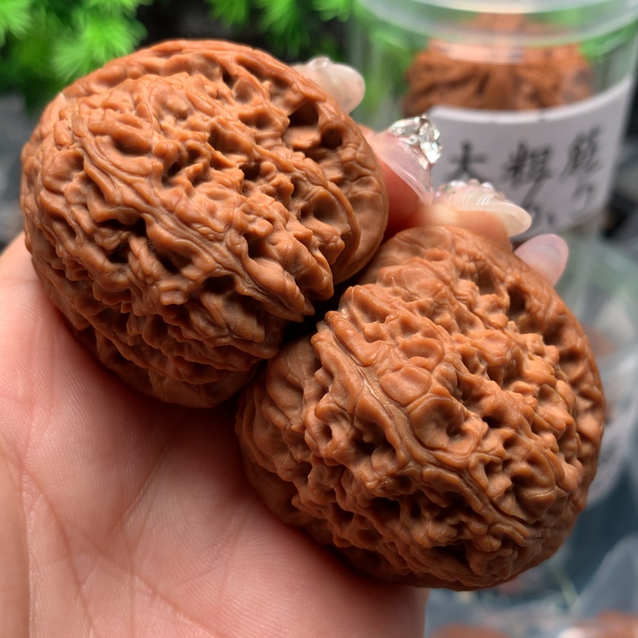 【闪购商品】文玩核桃吊坠书*44-4340-5