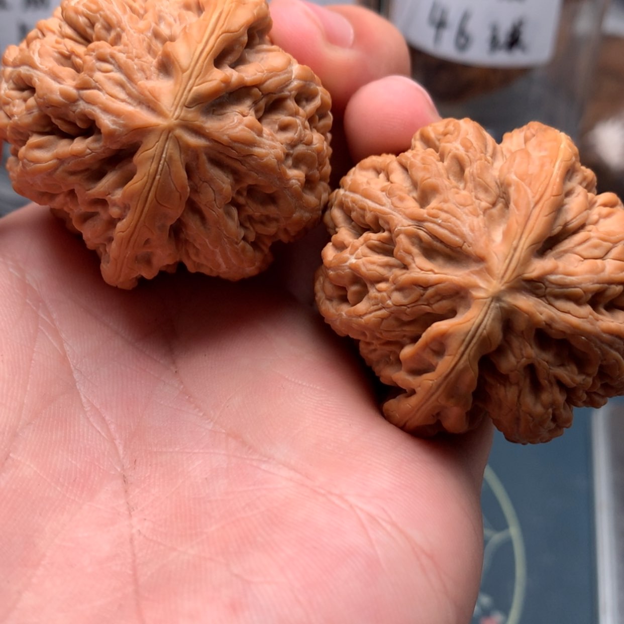 【闪购商品】文玩核桃吊坠43.5-12760-2
