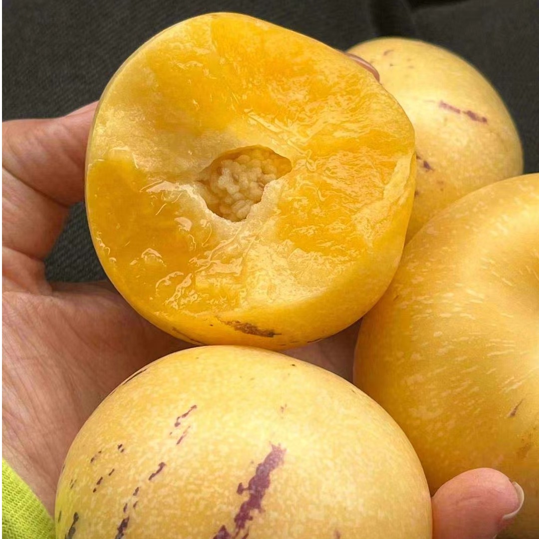 人参果6颗 400g—450g