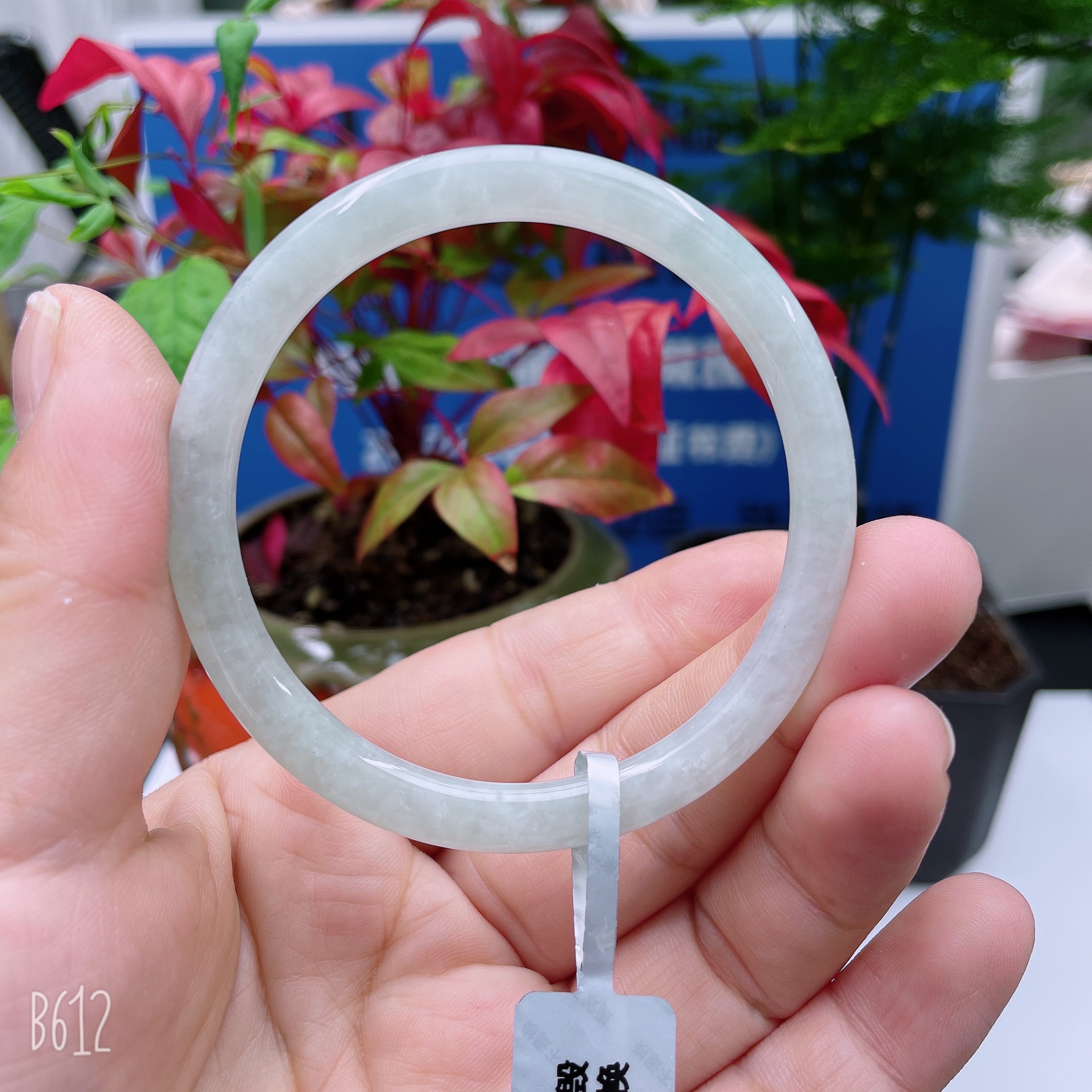 天然缅料A货翡翠手镯51圆条