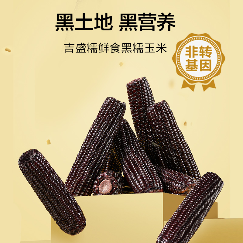 整箱6斤以上黑糯玉米12支非转大棒220g-250g