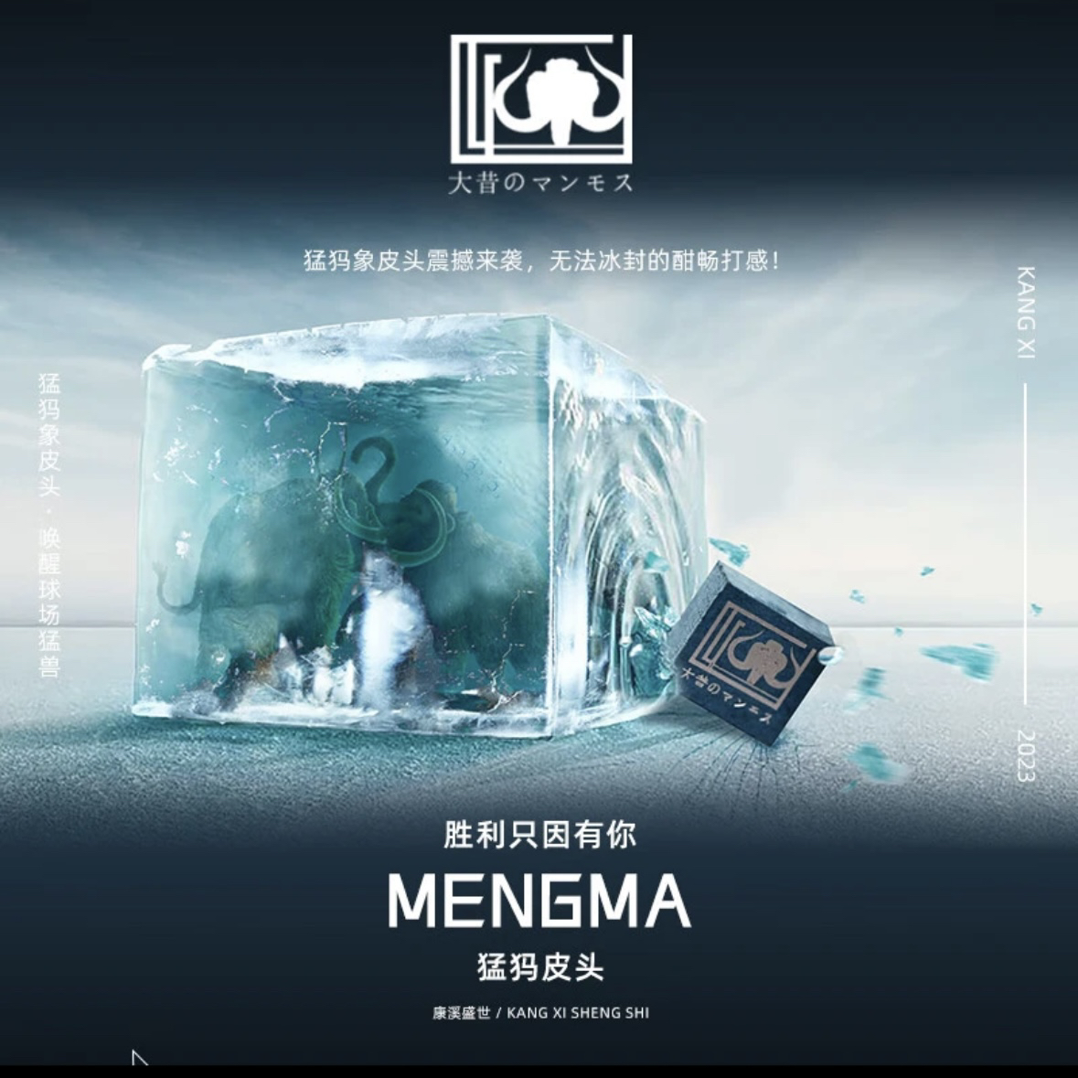 猛犸皮头台球皮头小头杆皮头波茨杆大头杆台球杆中式黑八九球皮头