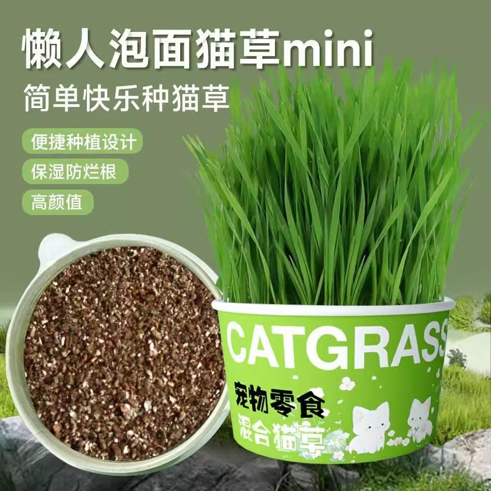 懒人泡面猫草猫咪零食猫草罐头化毛排毛四季泡面猫草实惠猫咪用品