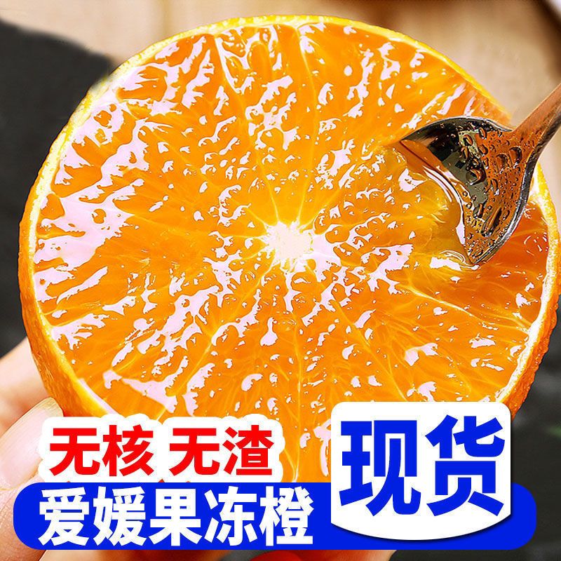 【精美礼盒装】四川爱媛38号果冻橙大果新鲜水果应季手剥甜桔子包邮