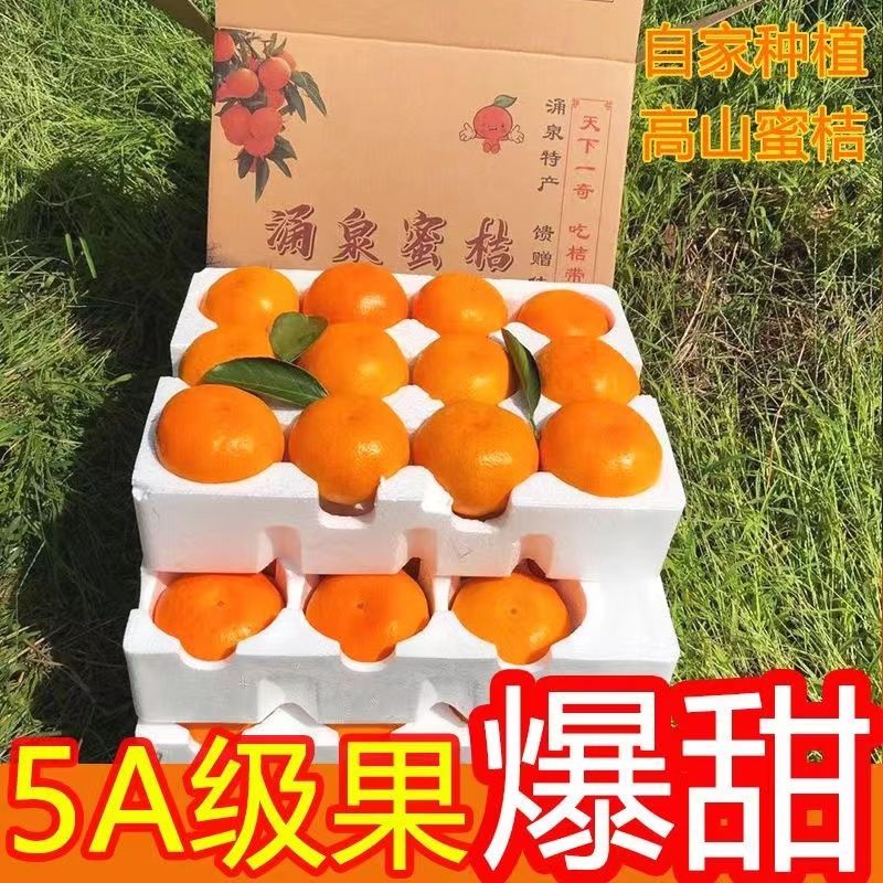 【与辉同行东方甄选】四川眉山爱媛38号果冻橙产地超甜皮薄现摘大果