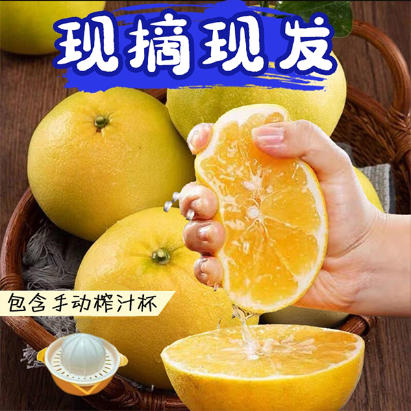 福建爆汁黄金葡萄柚当季水果清甜可口4.5斤彩箱T